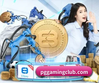 从此观赛更有深度