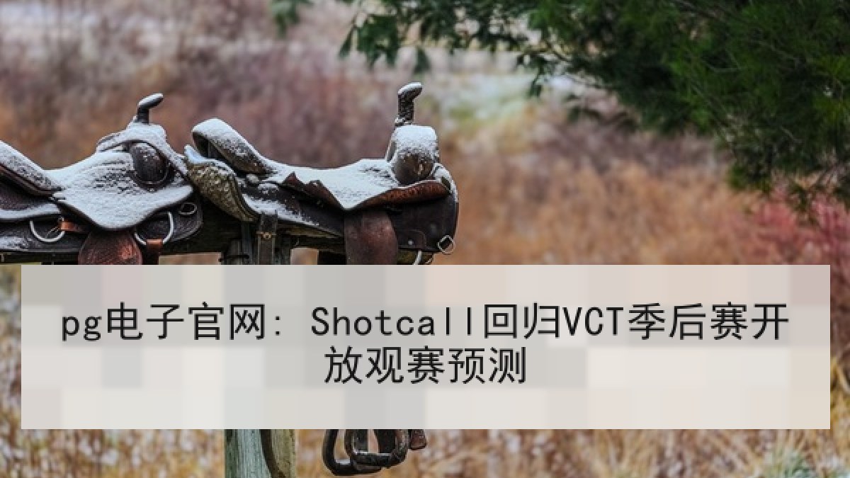 pg电子官网: Shotcall回归VCT季后赛开放观赛预测